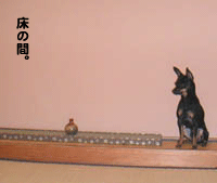 c0012571_23322012.gif