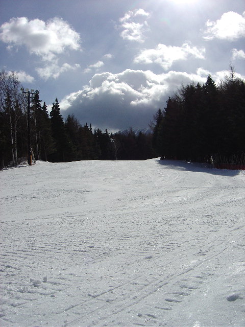 b0034578_1834116.jpg