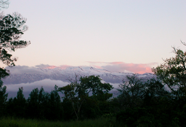 b0001980_11253472.jpg