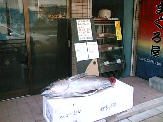 c0045385_5423178.jpg