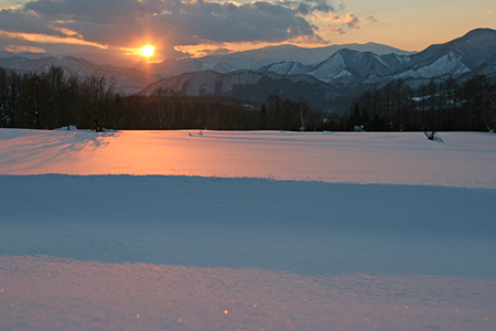 c0048494_2311023.jpg