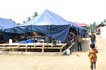 c0035102_2471154.jpg