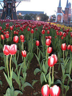 a0015110_0251872.jpg