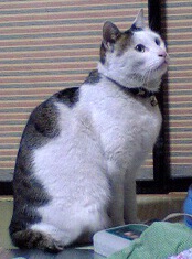 c0003217_23212141.jpg