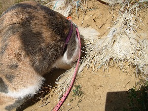 a0034419_1882438.jpg