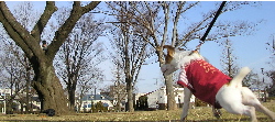 b0065067_0554815.jpg