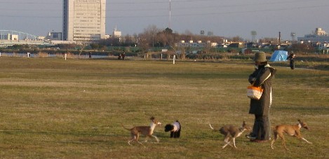 b0069169_1535199.jpg