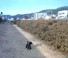b0032175_0121355.jpg
