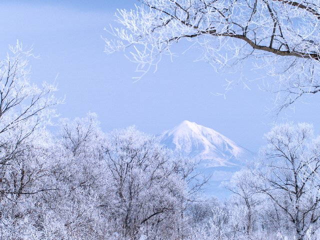 c0008502_20285415.jpg