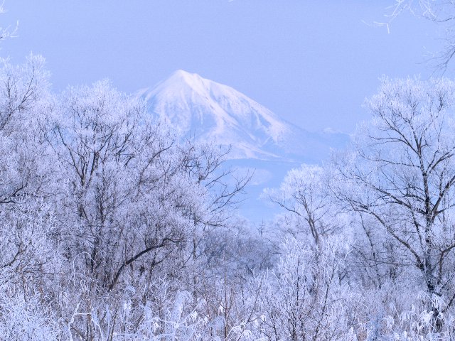 c0008502_20343267.jpg