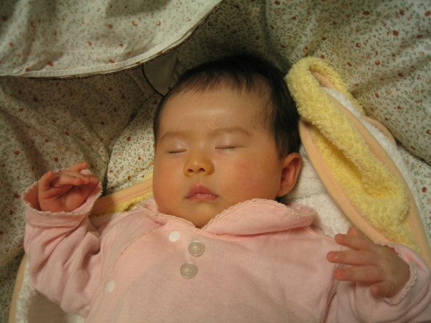 c0029911_023430.jpg