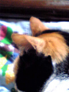 c0003217_2148928.jpg
