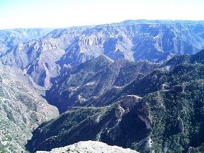 c0053050_4372148.jpg