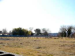 c0001653_2354288.jpg