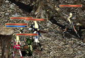 c0010386_1865817.gif