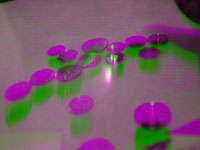 a0033493_13585364.jpg