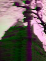 a0033493_13592818.jpg