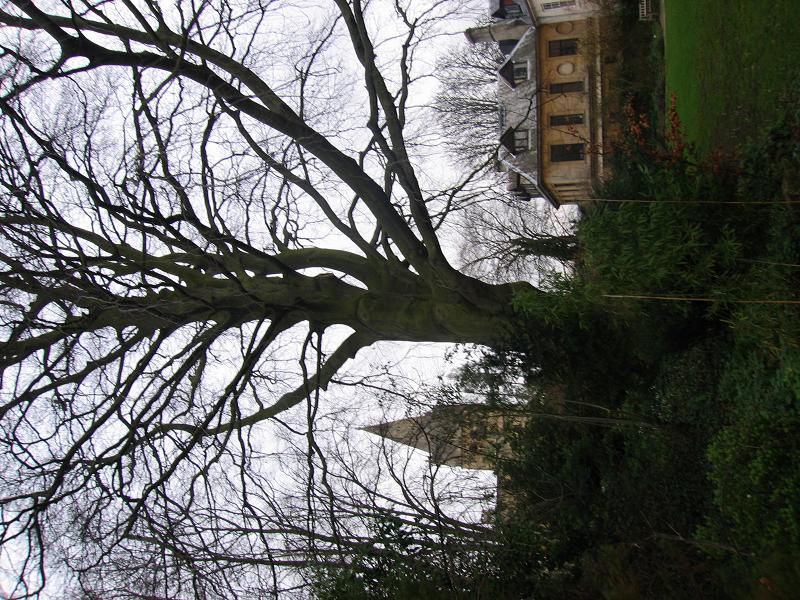 c0018694_4101070.jpg
