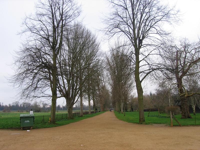 c0018694_47492.jpg