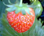 b0007895_0214087.jpg