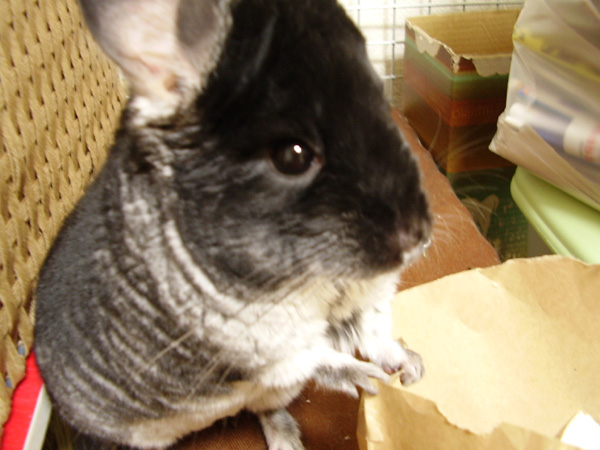 a0027007_9311125.jpg