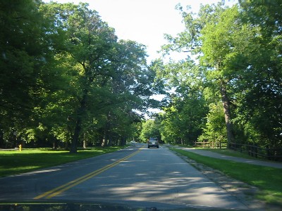 c0014416_4455549.jpg