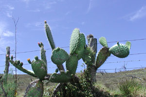 c0024729_19494047.jpg