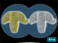 a0004555_1791375.gif