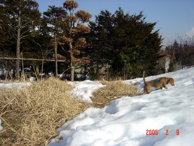 a0005691_14384987.jpg