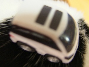 a0034419_1323275.jpg