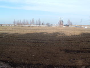 b0040332_131815.jpg