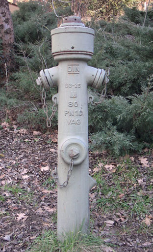 b0038588_2155187.jpg