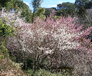 c0036203_17473358.jpg