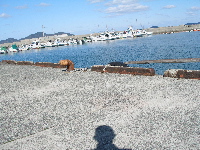 c0036203_1918228.jpg