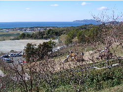 c0036203_19191414.jpg