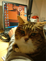 c0022913_23545219.gif