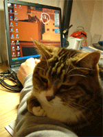 c0022913_2355152.gif
