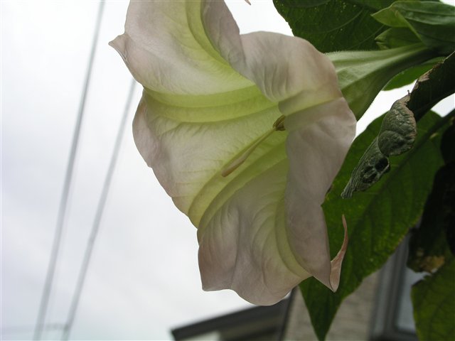 a0036618_2254920.jpg