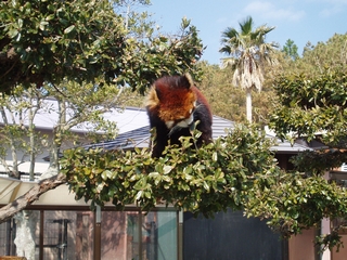 a0027720_1417527.jpg