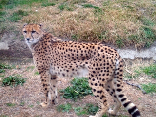a0027720_1442656.jpg