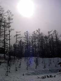 a0029259_1115487.jpg