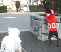 c0012571_1153441.jpg
