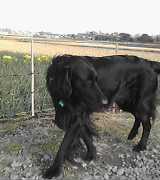c0040702_200150.jpg