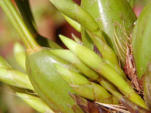 a0004023_9203312.jpg