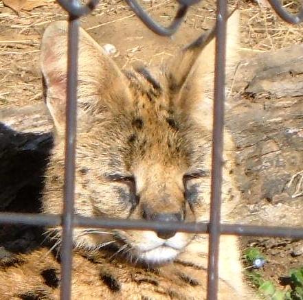 c0006827_1729484.jpg