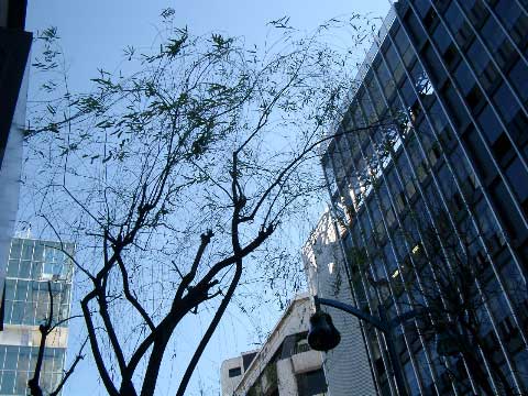 c0019131_20412648.jpg