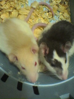 c0005835_14504525.jpg