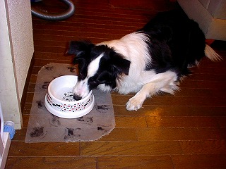 b0003270_2213455.jpg