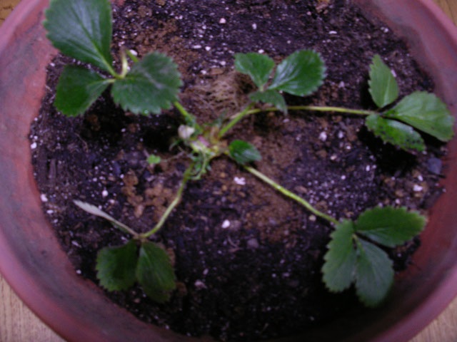 a0021179_0202030.jpg