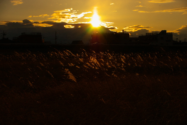 c0057221_18555859.jpg